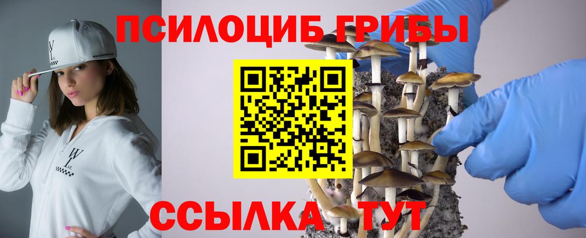 Псилоцибиновые грибы Psilocybe  Вход с VPN  Топки  Псилоцибиновые грибы Cubensis 